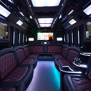 Limousine from our limo rental company